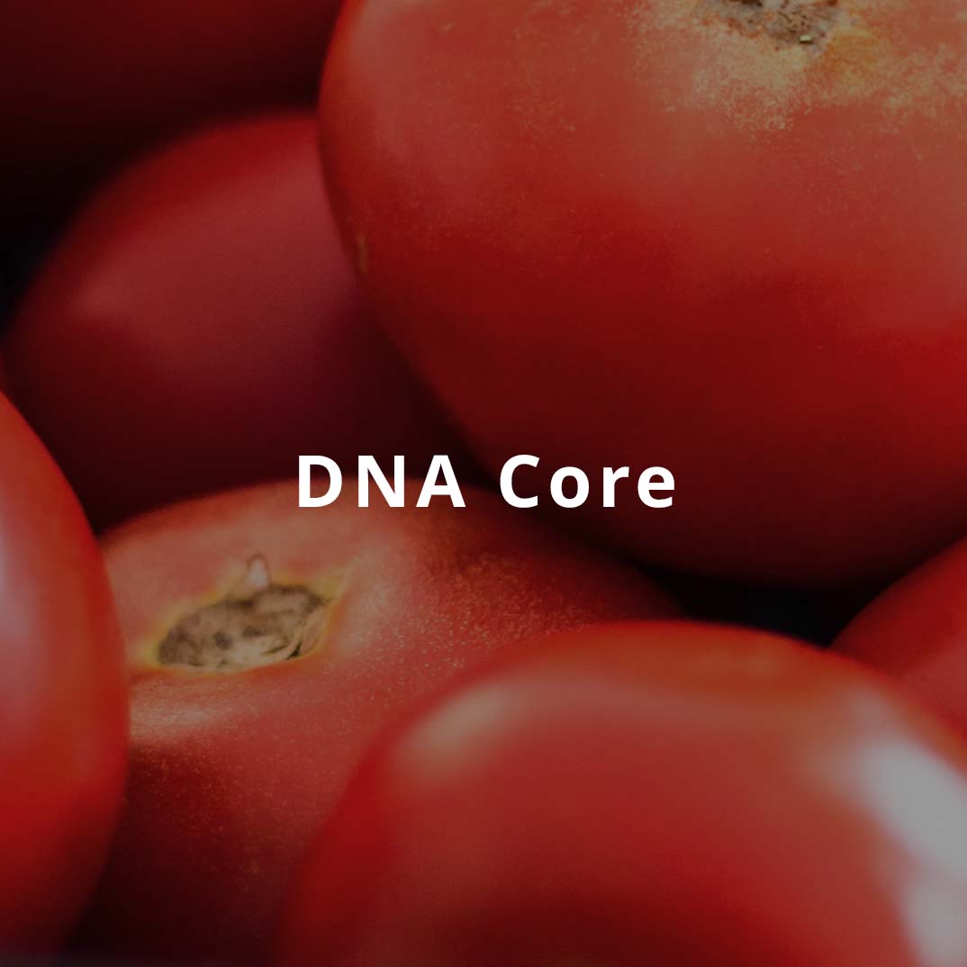 DNA Core