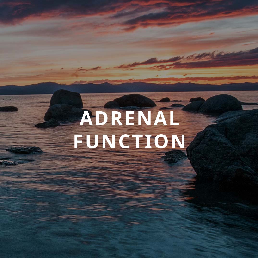 Adrenal Function Profile