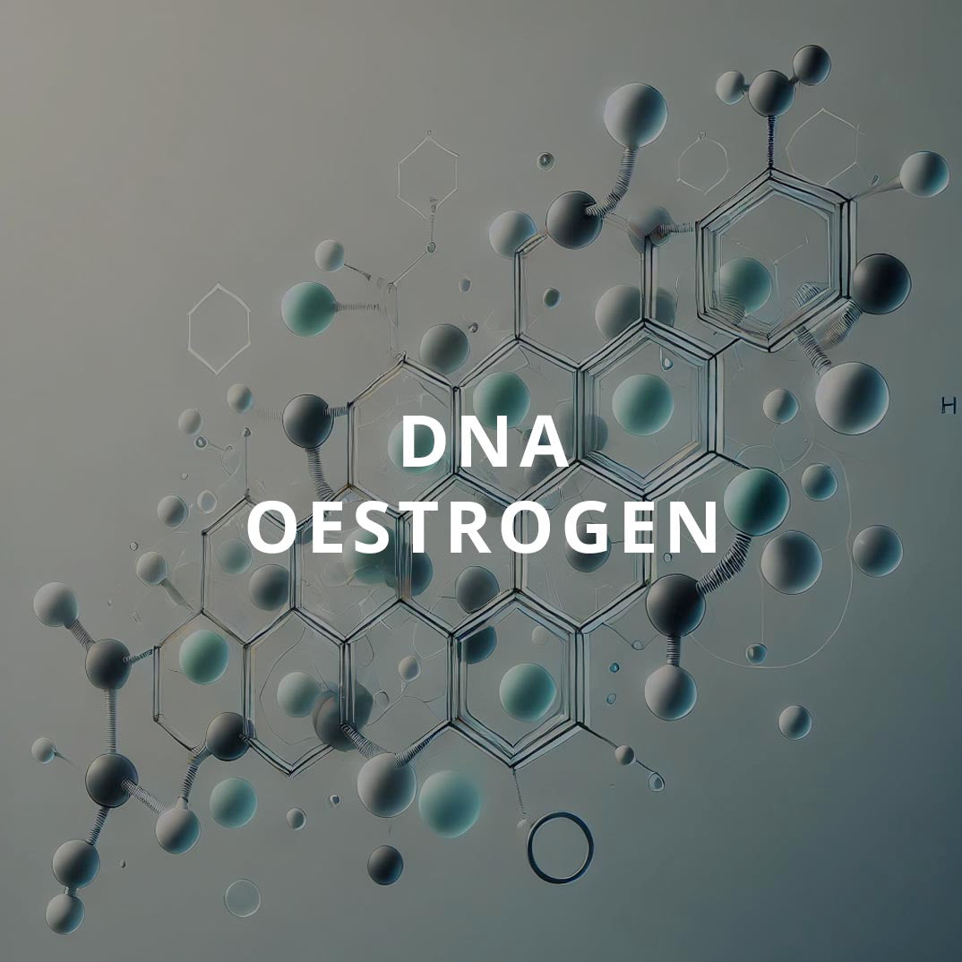 DNA Oestrogen