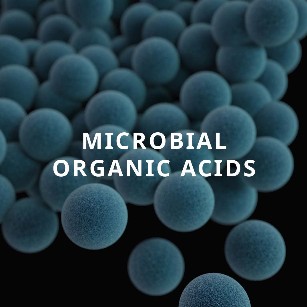 Microbial Organic Acids