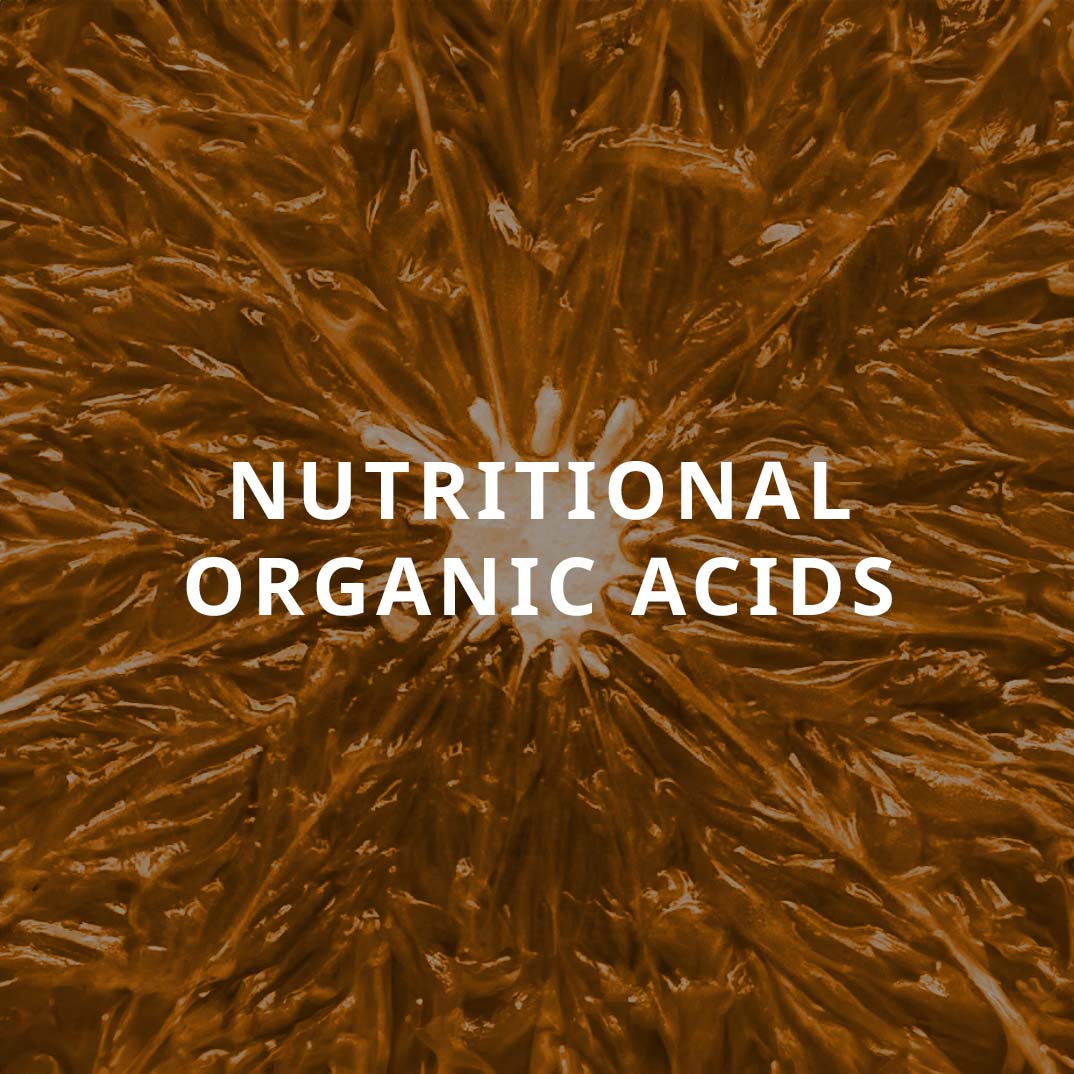 Nutritional Organic Acids